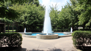 Memphis Botanic Garden has 96 acres and 29 gardens