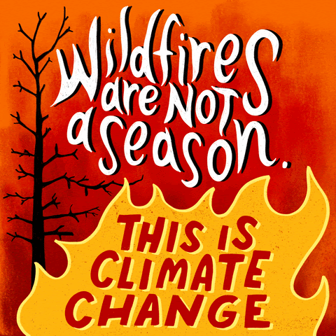 Wildfires are not a season. This is climate change.