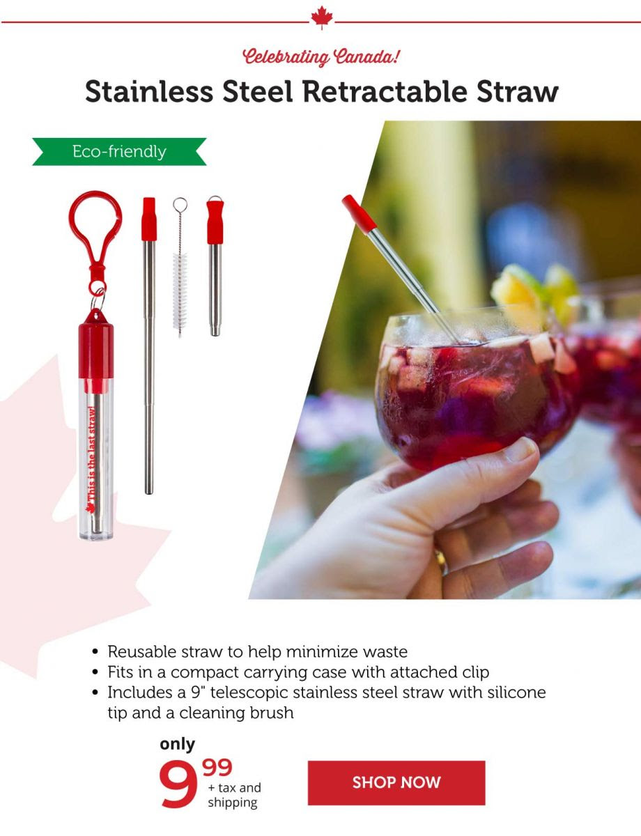 Stainless Steel Straw Retractable Straw