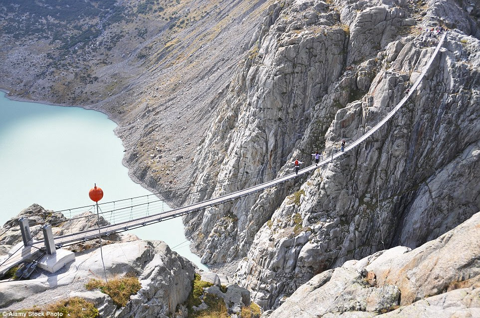 A long way to                                                      go: Trift Bridge                                                      in Switzerland is                                                      the                                                      longestpedestrian-only                                                      suspension bridge                                                      in the Alps at 557                                                      feet in length