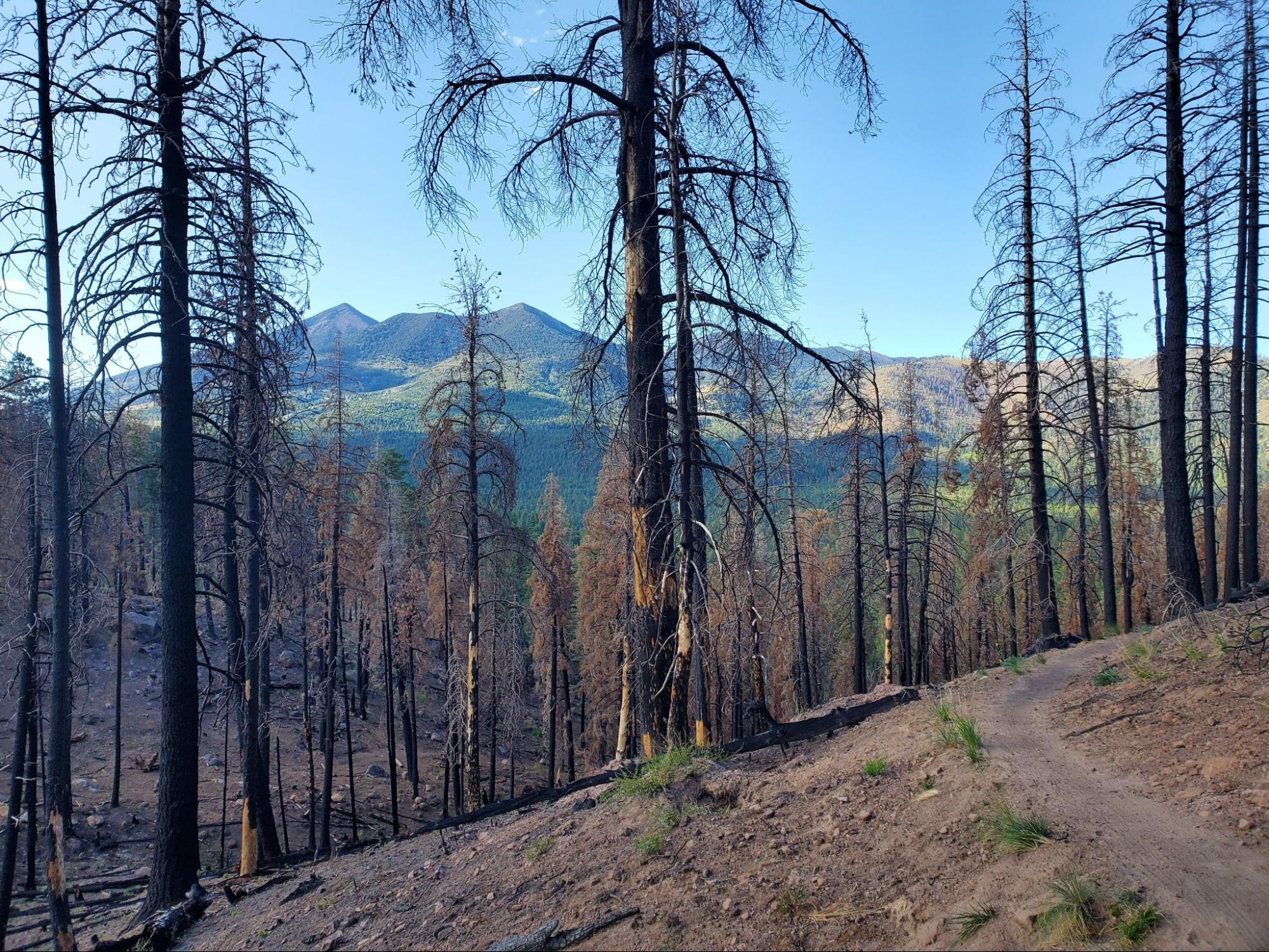 Mount Elden/Dry Lake Hills