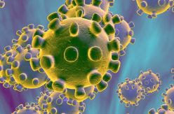 ¿Debemos temer a las mutaciones del virus SARS-CoV-2?