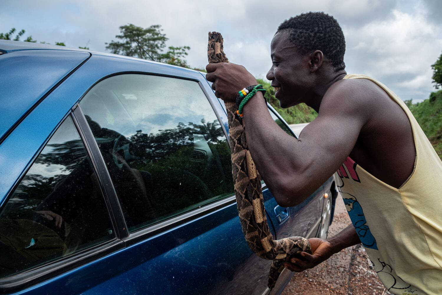 Un hombre sostiene un trozo de serpiente junto a la ventana de un automóvil que pasa por una carretera costamarfileña, con la esperanza de vender la carne. Pincha en la imagen para ver la fotogalería completa.