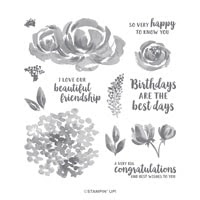 Beautiful Friendship Photopolymer Stamp Set Beautiful Friendship Photopolymer Stamp Set