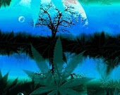 Blue Moon for a Green Moment, Consciousness in the garden (greenfaith donation)
