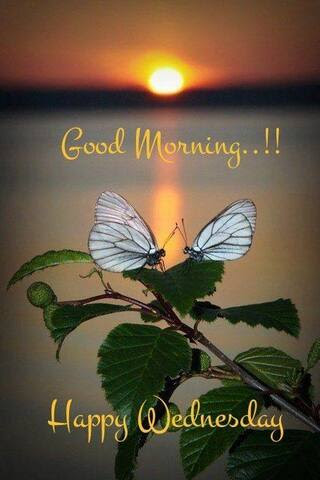 Wednesday-Good-Morning-Happy