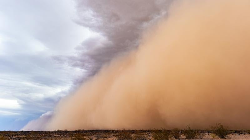 بالفيديو: الأرصاد توضح كيف تنشأ العواصف الغبارية والرملية وأسباب حدوثها