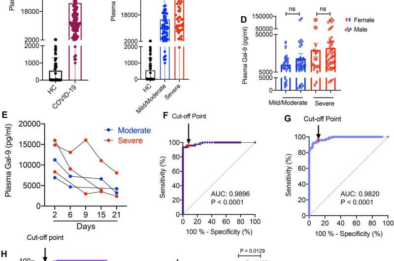 Understanding the inflammation that causes death in COVID-19 patients