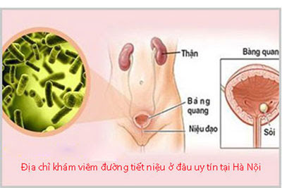 Địa chỉ khám viêm đường tiết niệu ở đâu uy tín tại Hà Nội