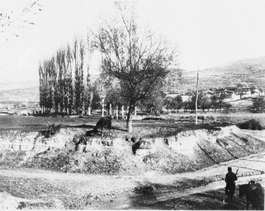 arnissa7-1912-13