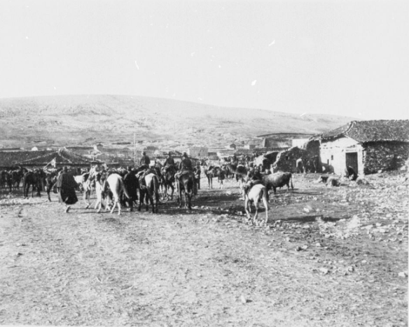 arnissa2-1912-13
