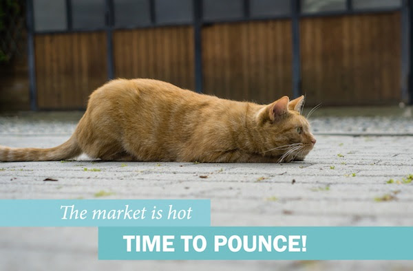 The market is hot TIME TO POUNCE!