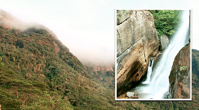 Knuckle Mountain Range, Dumbara Kanduvetiya, Sri Lanka, hiking, forest hiking, Yaksha settlements