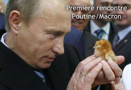 Image du jour