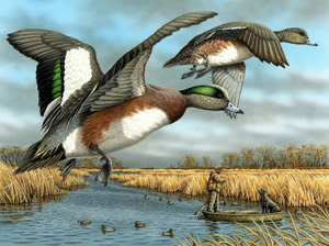 Michigan duck stamp with two ducks in flight