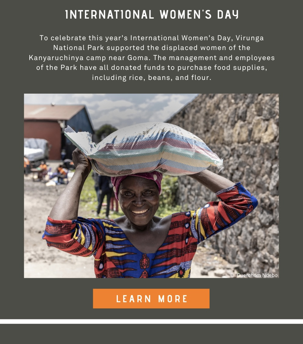 To celebrate this year's International Women's Day, Virunga National Park supported the displaced women of the Kanyaruchinya camp near Goma. The management and employees of the Park have all donated funds to purchase food supplies, including rice, beans, and flour.