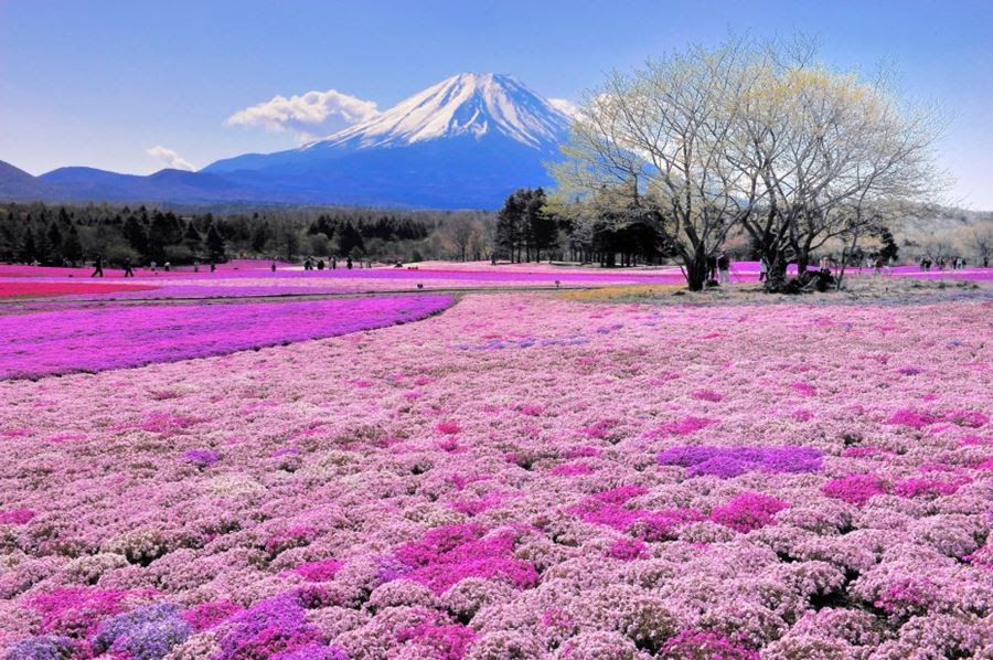 Όρος Fuji, Ιαπωνία