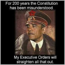 Image result for OBAMA IN TREASON IN AMERICA