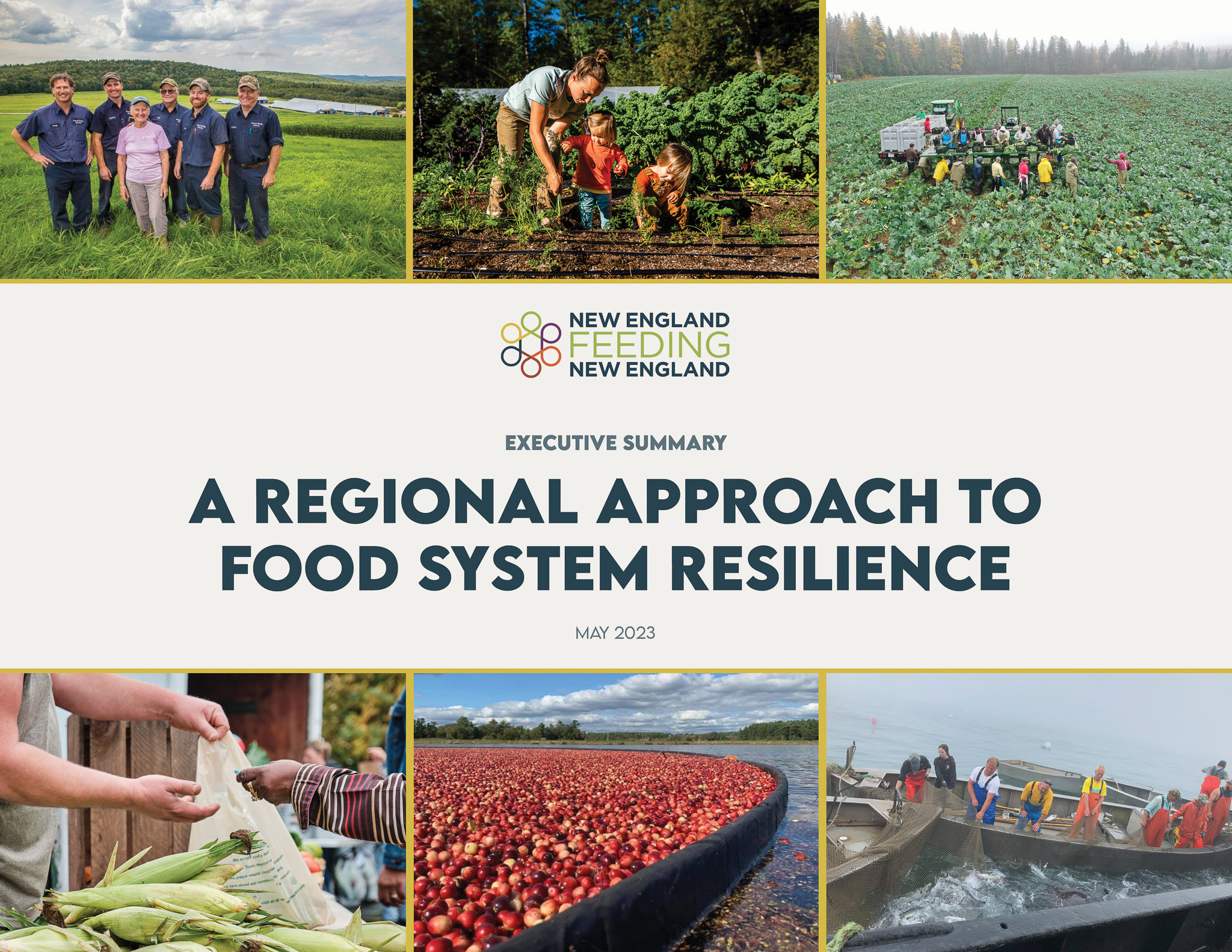 NEFNE - A Regional Approach to Food System Resilience Report