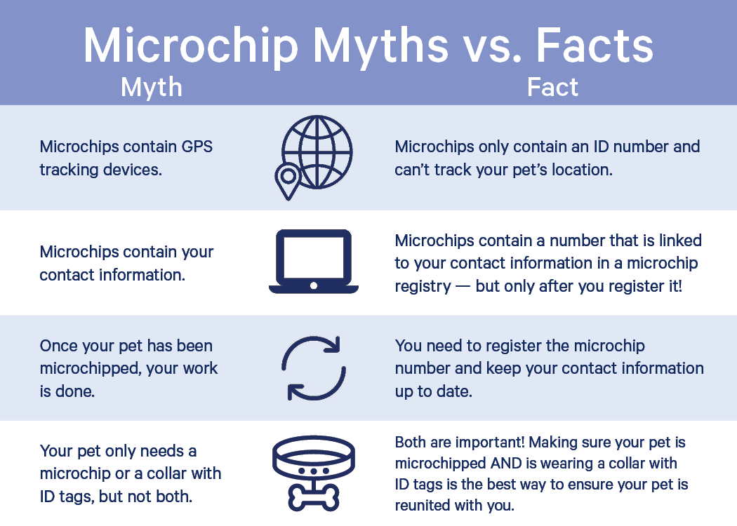 Microchip Myths vs. Facts. Myth: Microchips contain GPS tracking devices. Fact: Microchips only contain an ID number and can't track your pet's location. Myth: Microchips contain your contact information. Fact: Microchips contain a number that is linked to your contact information in a microchip registry - but only after you register it! Myth: Once your pet has been microchipped, your work is done. Fact: You need to register the microchip number and keep your contact information up to date. Myth: Your pet only needs a microchip or a collar with ID tags, but not both. Fact: Both are important! Making sure your pet is microchipped and is wearing a collar with ID tags is the best way to ensure your pet is reunited with you.