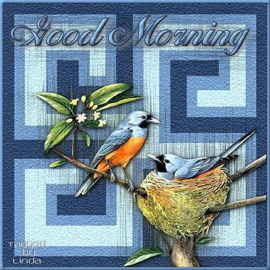 GM-Birds-in-the-nest