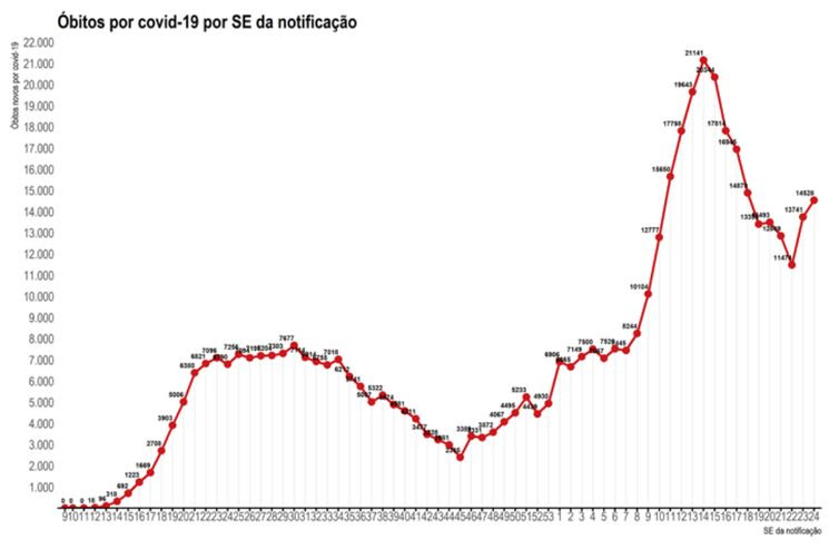 Ministério da Saúde SE24 2021