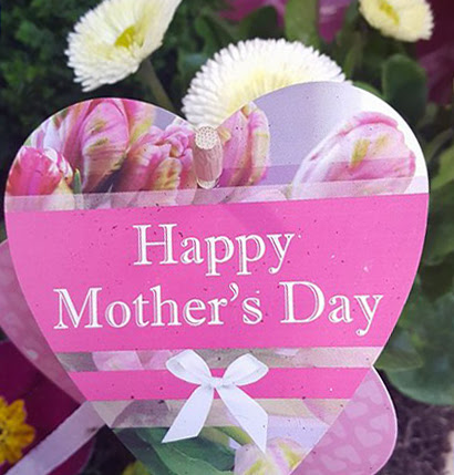 Mother's Day Mother's Day