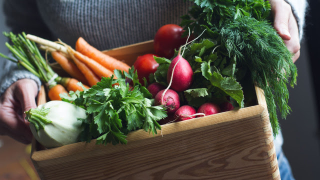 Saiba como utilizar legumes e verduras para enriquecer receitas