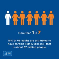 infocard with people stick figures that explains 1 in 7 people have chronic kidney disease