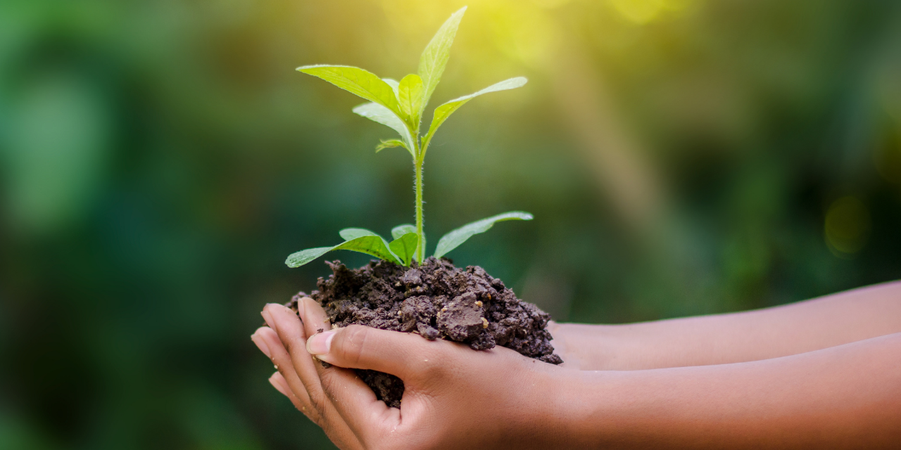 World Environment Day