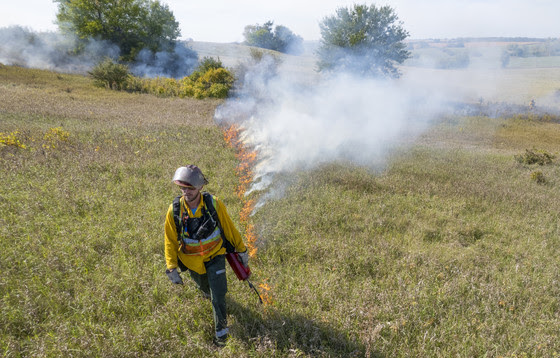 DNR staff wearing protective gear and holding fuel can conducting prescribed burn walking in front of fire line.
