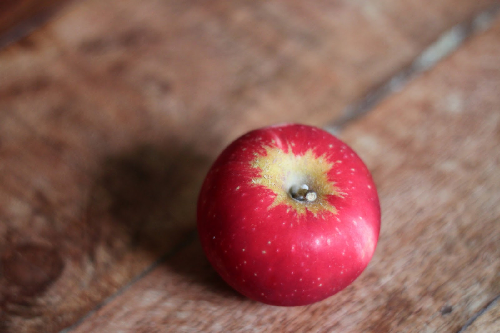 Peach Apple Sauce with Roasted Apples Vintage Mixer