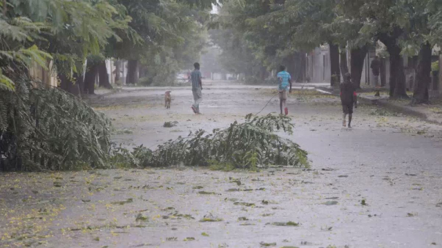 Branches of a tree are seen on the road, as cyclone Freddy hits, in Quelimane, Zambezia, Mozambique, March 11, 2023, in this screen grab taken from a handout video. UNICEF Mozambique/2023/Alfredo Zuniga/Handout via REUTERS