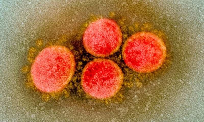 COVID-19 cytokine storm: Possible mechanism for the deadly respiratory syndrome