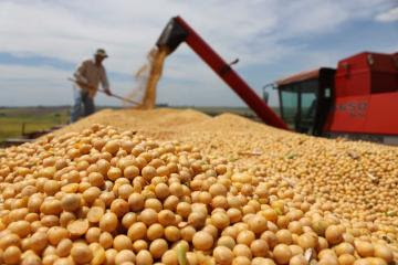 Producción mundial de soya crecerá 13% en la campaña 2022/2023