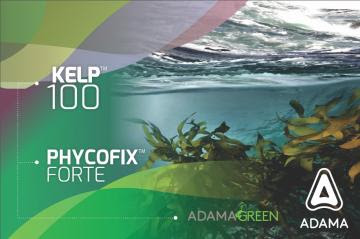 "Kelp 100™" y "PhycoFix Forte™", bioestimulantes naturales que aumentan la productividad y calidad de  los cultivos