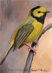 Hooded Warbler ACEO - Posted on Thursday, March 5, 2015 by Janet Graham