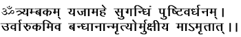Maha.gif (25638 bytes)