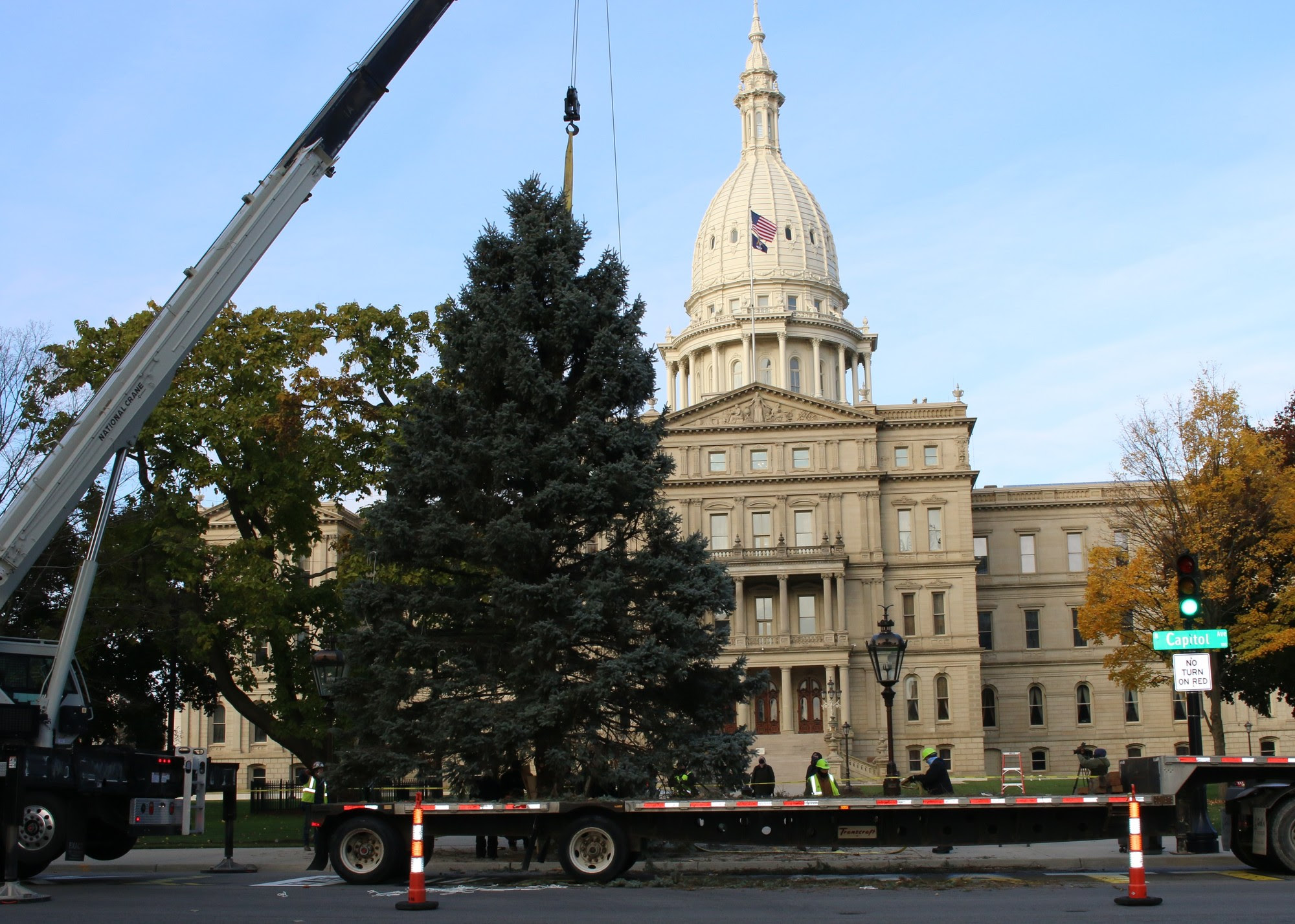 2020 Christmas Tree Delivery 2
