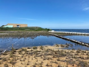 Stormwater grants
