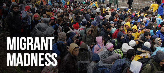 Migrant Madness - 2 articles - Sweden & France Bb-newsletter-migrantmadness