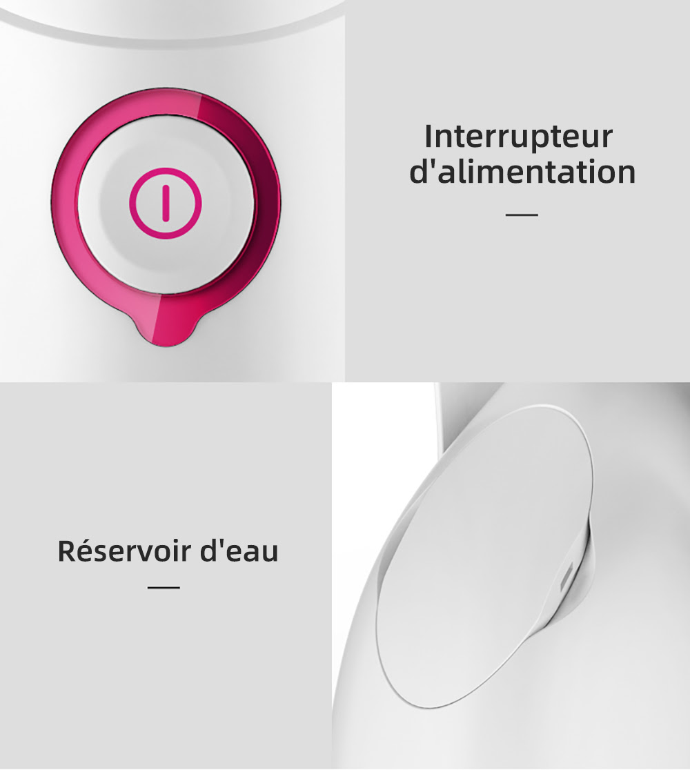 Appareil électrique à vapeur pour le visage