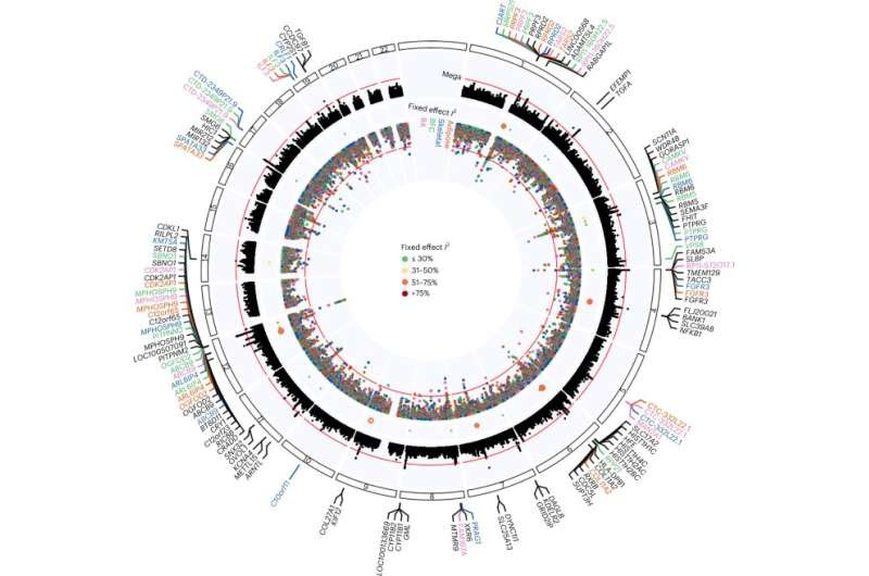 10 new genetic loci linked to osteoarthritis found