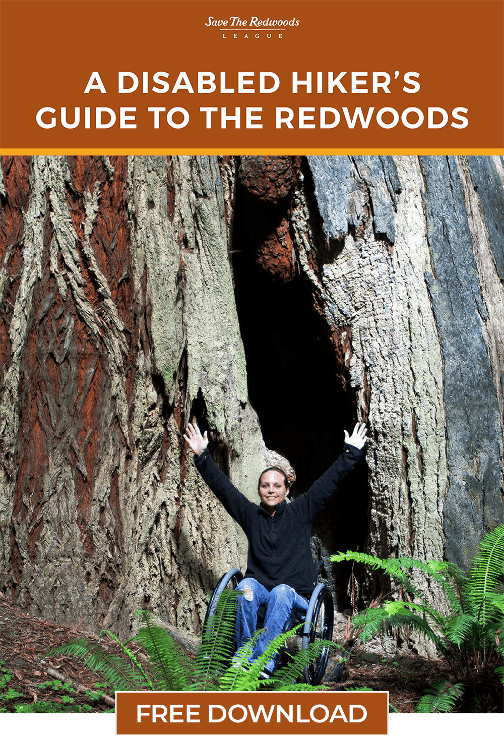 Photo of 'A Disabled Hiker’s Guide to the Redwoods' showing the guide's cover