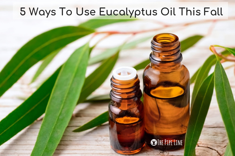 5 Ways To Use Eucalyptus Oil This Fall