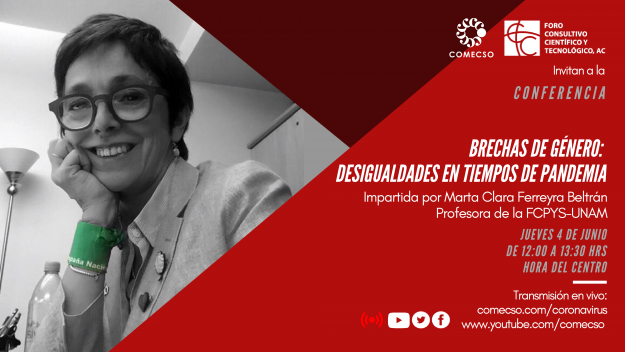 Brechas de género: desigualdades en tiempos de pandemia.