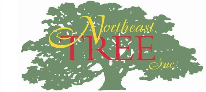 Northeast Tree Inc