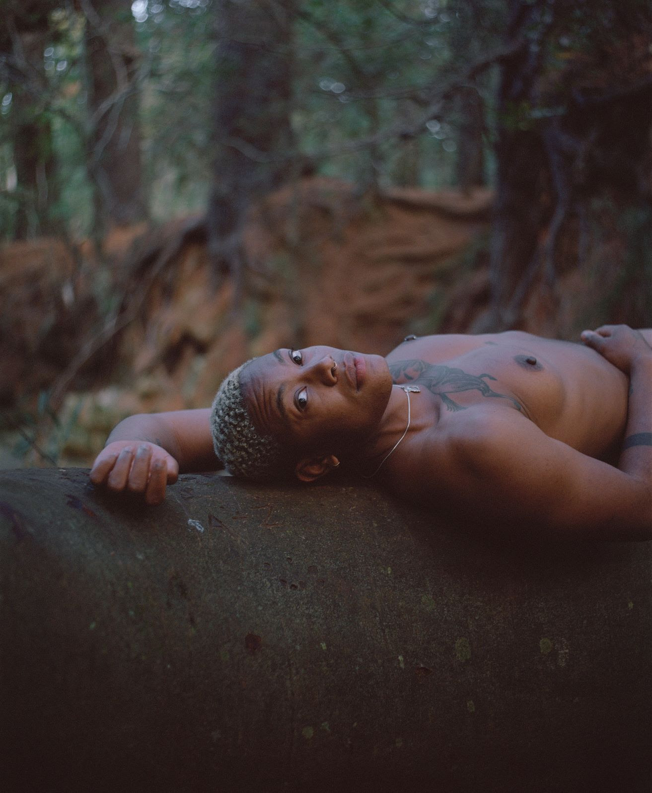 [IMAGE] An individual lies back onto a fallen tree trunk topless in a forest. They are looking straight into the camera and trees and mud are visible in the background.