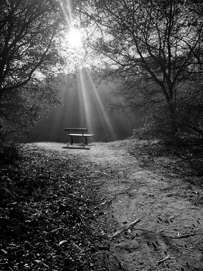 Solitude-by-Maria-Popova.jpg?resize=680%2C907