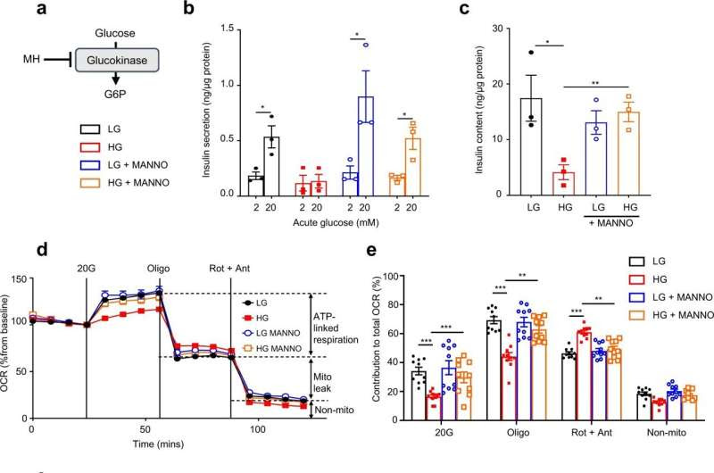 Key cause of type 2 diabetes uncovered